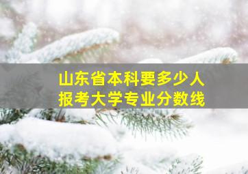 山东省本科要多少人报考大学专业分数线