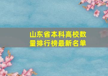 山东省本科高校数量排行榜最新名单