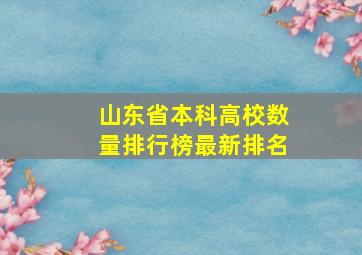 山东省本科高校数量排行榜最新排名