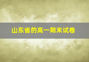 山东省的高一期末试卷