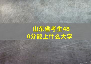 山东省考生480分能上什么大学