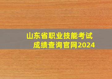 山东省职业技能考试成绩查询官网2024