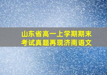 山东省高一上学期期末考试真题再现济南语文