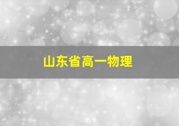 山东省高一物理