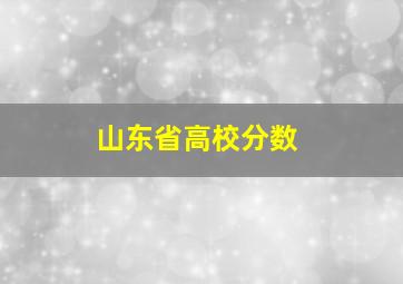 山东省高校分数