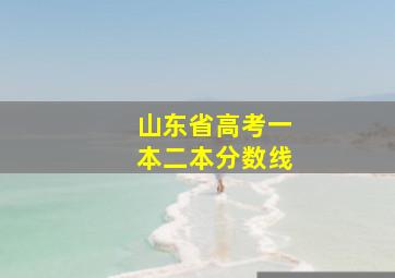 山东省高考一本二本分数线