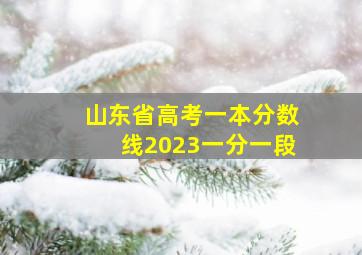 山东省高考一本分数线2023一分一段