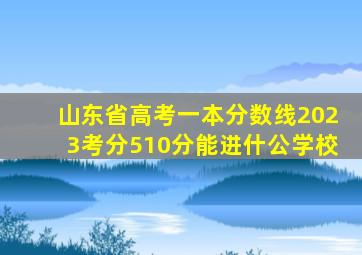 山东省高考一本分数线2023考分510分能进什公学校