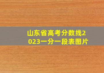 山东省高考分数线2023一分一段表图片