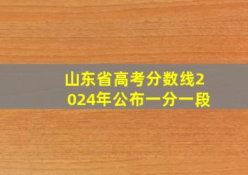 山东省高考分数线2024年公布一分一段