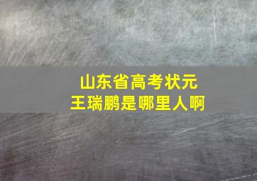 山东省高考状元王瑞鹏是哪里人啊