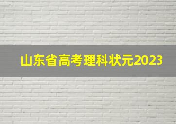 山东省高考理科状元2023