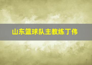 山东篮球队主教练丁伟