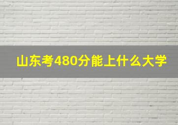 山东考480分能上什么大学