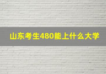 山东考生480能上什么大学