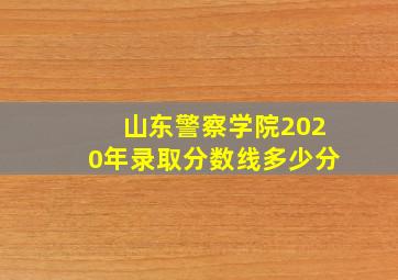 山东警察学院2020年录取分数线多少分