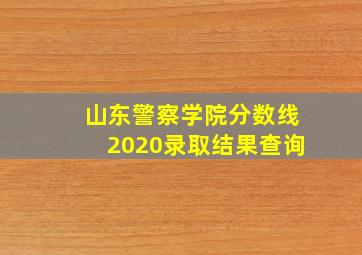 山东警察学院分数线2020录取结果查询