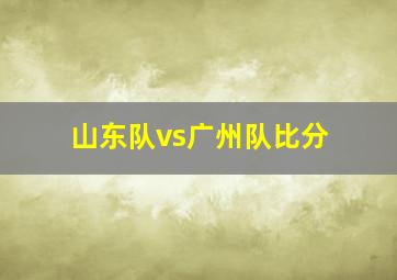 山东队vs广州队比分