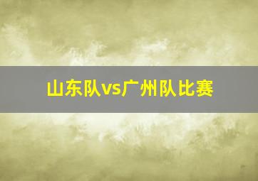 山东队vs广州队比赛