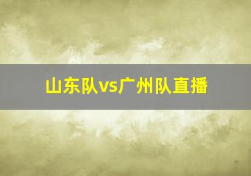 山东队vs广州队直播