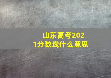 山东高考2021分数线什么意思