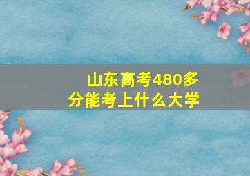 山东高考480多分能考上什么大学