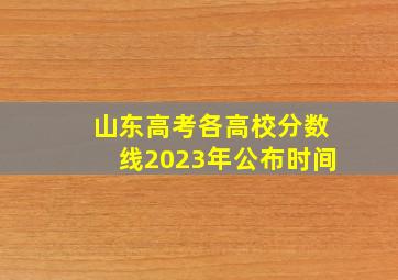 山东高考各高校分数线2023年公布时间