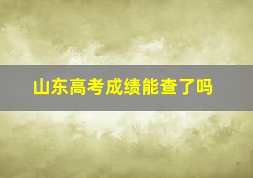 山东高考成绩能查了吗