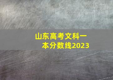 山东高考文科一本分数线2023