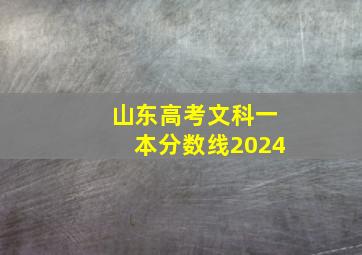 山东高考文科一本分数线2024