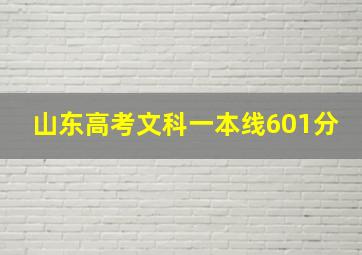 山东高考文科一本线601分