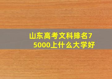 山东高考文科排名75000上什么大学好