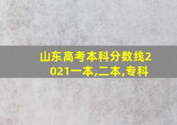 山东高考本科分数线2021一本,二本,专科