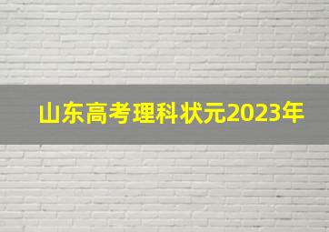 山东高考理科状元2023年