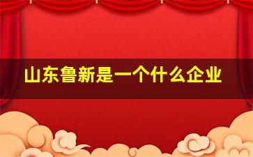 山东鲁新是一个什么企业