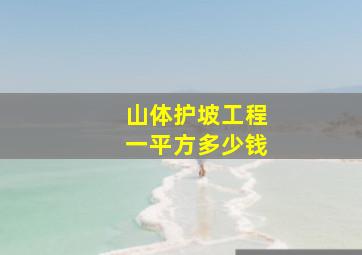 山体护坡工程一平方多少钱