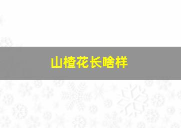 山楂花长啥样