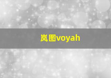 岚图voyah