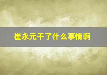 崔永元干了什么事情啊