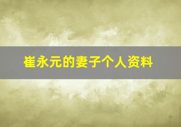 崔永元的妻子个人资料