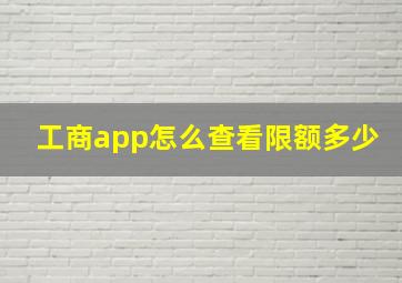 工商app怎么查看限额多少