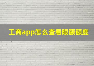 工商app怎么查看限额额度