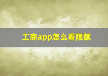 工商app怎么看限额