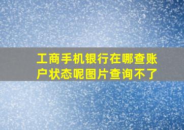 工商手机银行在哪查账户状态呢图片查询不了