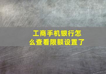 工商手机银行怎么查看限额设置了