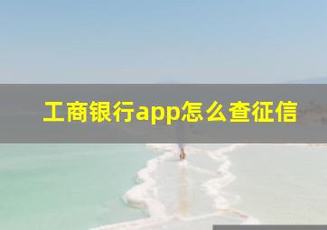 工商银行app怎么查征信