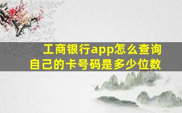 工商银行app怎么查询自己的卡号码是多少位数