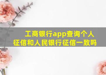 工商银行app查询个人征信和人民银行征信一致吗