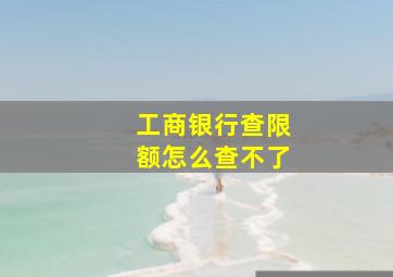 工商银行查限额怎么查不了