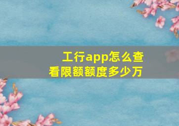 工行app怎么查看限额额度多少万